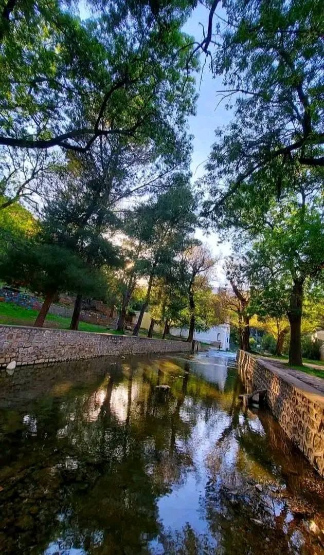 Espace naturel et eau au milieu des arbres à Ain Bousaadia