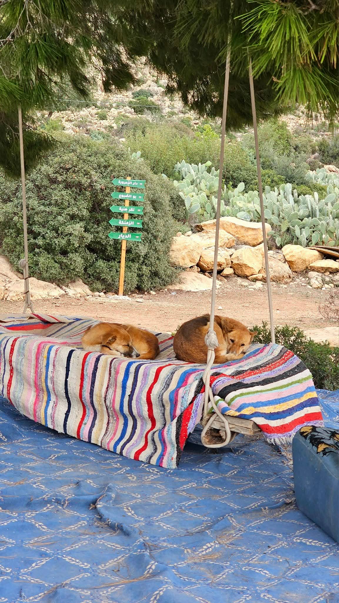 Photo 2 de Dar Khlifa
